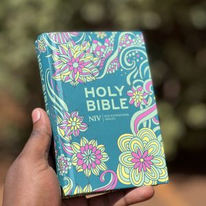 Holy Bible NIV By Hodder & Stoughton